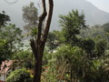 DSC01234